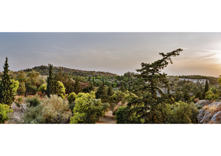 The Greek Wandering2.jpg
