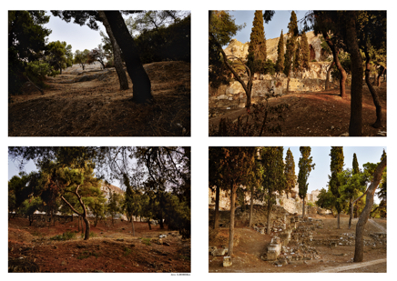 The Greek Wandering3.jpg